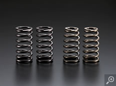 Photo: Valve Springs